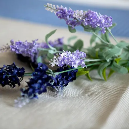 Le Nereidi Filippo 3*